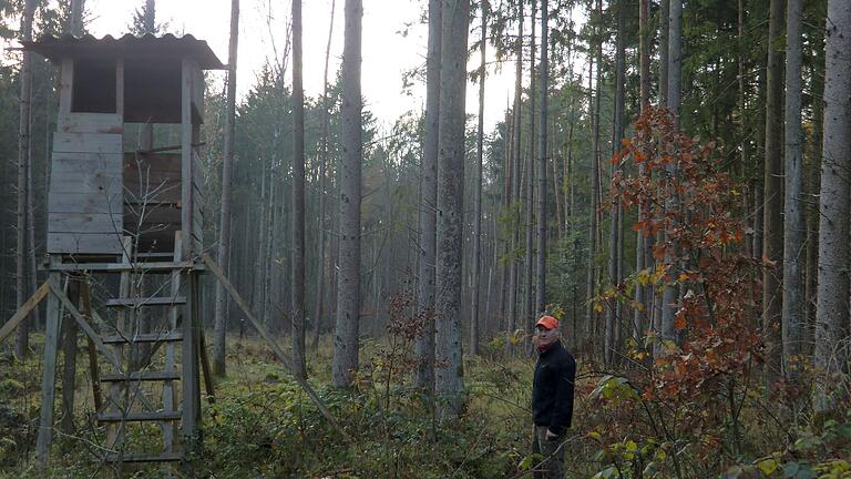 Der Bereich an der unteren Salzlecke ist nur eine von vielen Flächen im Bürgerwald, die stark vom Borkenkäfer betroffen war. Die entstandenen Kahlflächen ermöglichen nun eine natürliche Verjüngung, erfordern aber auch eine entsprechende Pflege, wie Förster Jochen Schenk erläutert.