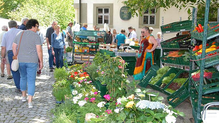 Knackige Salate und Gemüse gab es am Stand der Albertshöferin Marzena Böhm.