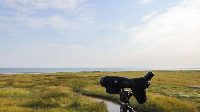 Vogelwartin auf Norderoog       -  Ein Fernglas zur Vogelbeobachtung steht auf der Veranda des Pfahlbaus auf der Hallig Norderoog.