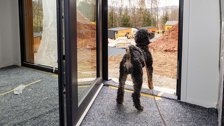 Pudel Ivo hat die Baustelle gut im Blick. Er freut sich auf die ersten Gäste im Doggia-Dorf.