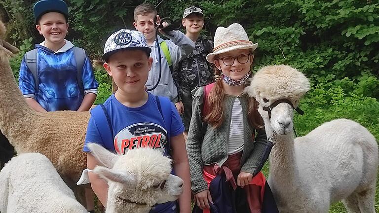 Nicht nur für Hannes, Max, Paul, Dominik und Leni (von links) war die Alpaka-Wanderung ein besonderes Erlebnis. Nicht nur für Hannes, Max, Paul, Dominik und Leni (von links) war die Alpaka-Wanderung ein besonderes Erlebnis.