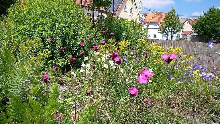 Himmelstadt ist nicht nur für seinen Weihnachtsmarkt und der Weihnachtspostfiliale bekannt, sondern auch wegen der Gärten. Im Ort befindet sich etwa der NaturSchauGarten des Landkreises Main-Spessart.