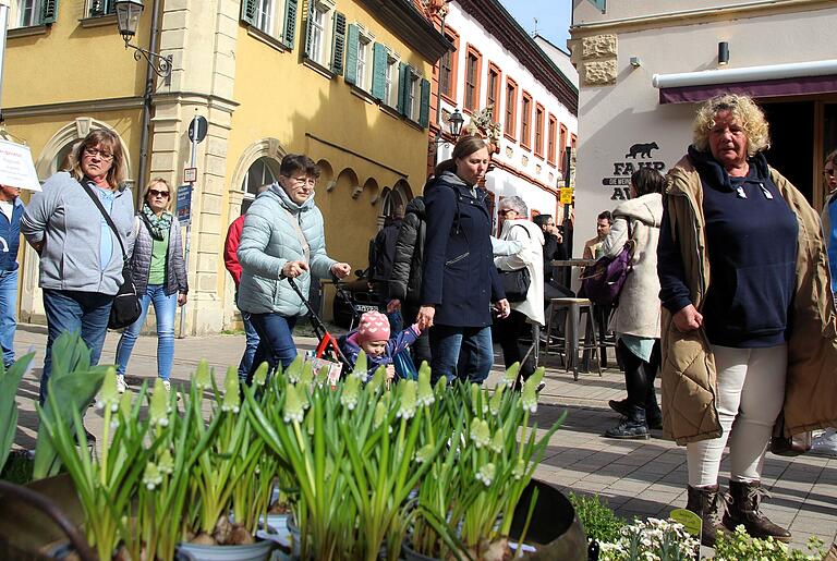 Das Frühlingserwachen in der Volkacher Altstadt servierte einen kurzweiligen Bummel für die ganze Familie.