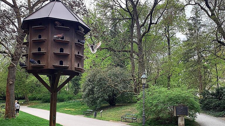 Der betreute Taubenschlag in Klein-Nizza ist Teil des städtischen Taubenkonzepts. Die Stadtverwaltung geht davon aus, dass Stadttauben während der Coronakrise nicht verhungern müssen.