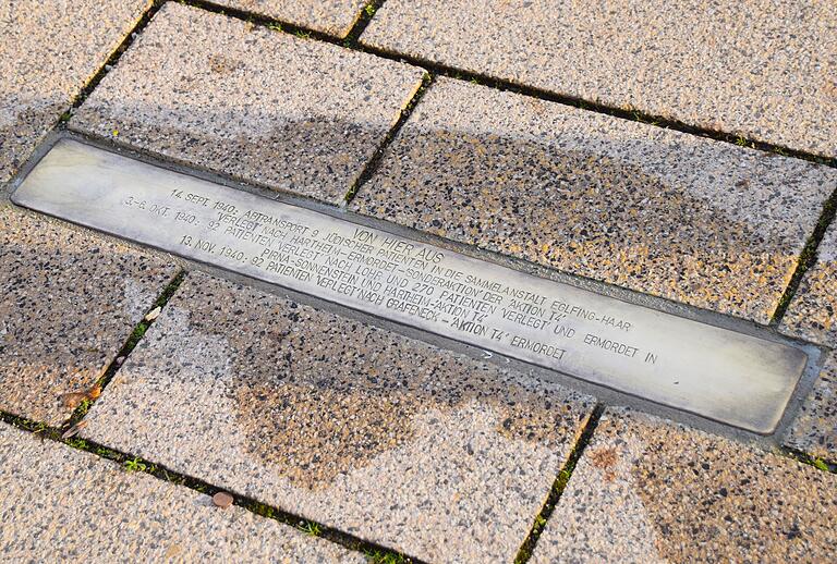 Wieder lesbar ist die Inschrift auf der Stolperschwelle am Wernecker Balthasar-Neumann-Platz, die auf die Ermordung von Psychiatrie-Patienten während der Nazi-Zeit hinweist. Wieder lesbar ist die Inschrift auf der Stolperschwelle am Wernecker Balthasar-Neumann-Platz, die auf die Ermordung von Psychiatrie-Patienten während der Nazi-Zeit hinweist.