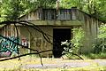 Elf Bunker hat die US-Armee im Klingenwald zwischen Kitzingen und Kaltensondheim zurückgelassen. Sie sind vereinnahmt von der Natur und Lost-Place-Jägern.