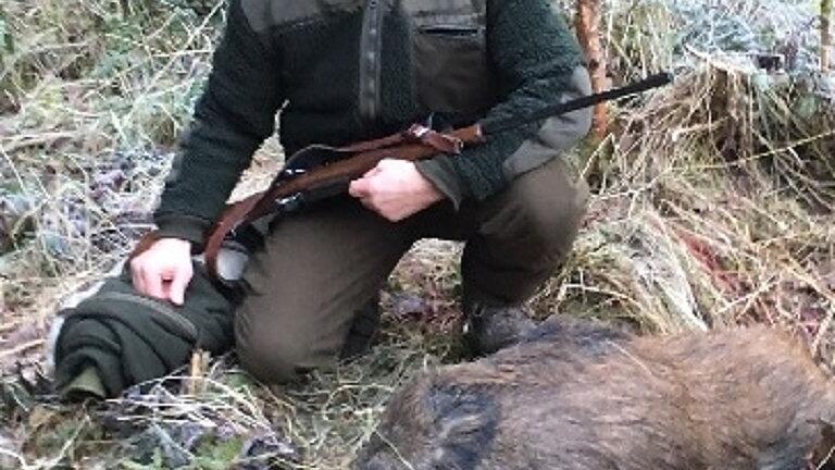 Landrat Thomas Habermann ist selbst passionierter Jäger &ndash; und mag Wild auf dem Tisch. Für so ein Wildschwein hat er ein Lieblingsrezept.