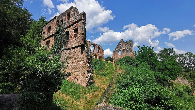 Eindrucksvoll verfallen: die Burgruine Kollenburg hoch über dem Maintal in Collenberg im Landkreis Miltenberg.