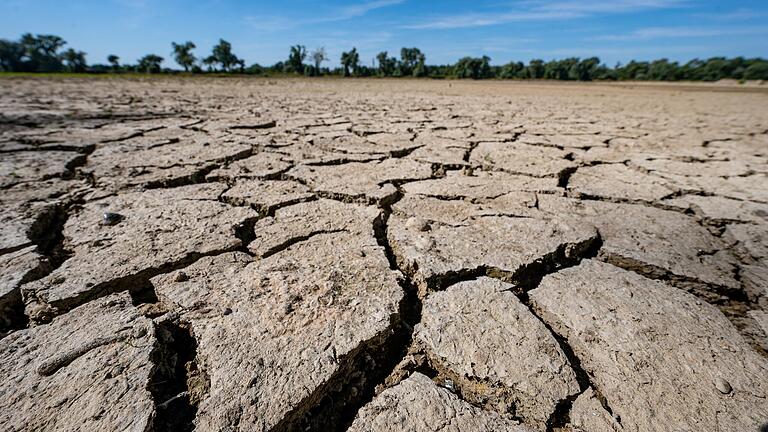 Warum dieses Foto von einem ausgetrockneten Uferabschnitt der Donau auch die Menschen am Main beunruhigen sollte: Weil sie von Wasser aus der Donau profitieren.