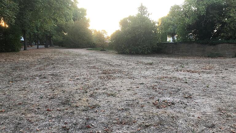 Aus der Rasenfläche beim Gerolzhöfer Friedhof ist unter der sengenden Sonne eine Steppenlandschaft geworden. Aus der Rasenfläche beim Gerolzhöfer Friedhof ist unter der sengenden Sonne eine Steppenlandschaft geworden.