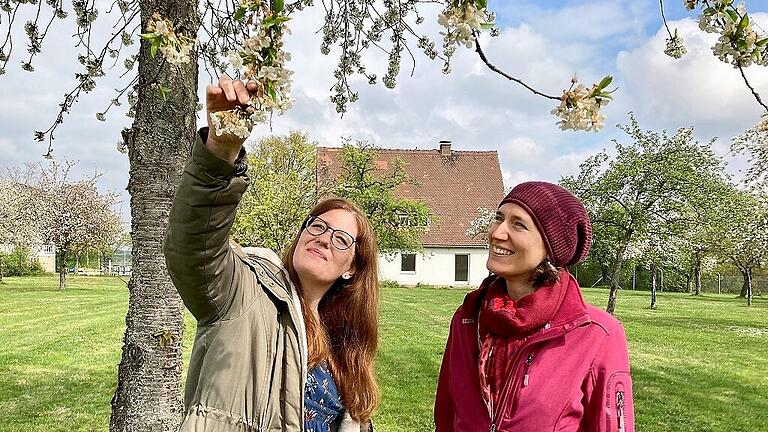 Wer würde nicht gern in einem offenen grünen Klassenzimmer lernen? Eva Köpf und Annika Reith-Herrmann freuen sich: Auf der großen Obstbaumwiese ist Platz für die künftigen Montessori-Schüler. Wer würde nicht gern in einem offenen grünen Klassenzimmer lernen? Eva Köpf und Annika Reith-Herrmann freuen sich: Auf der großen Obstbaumwiese ist Platz für die künftigen Montessori-Schüler.