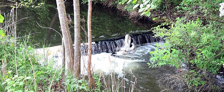 Mit solchen Dämmen stauen die Landwirte in Schwebheim im Sommer den Unkenbach, um so das Wasser, das sie dem Bach vorher zugepumpt haben wieder für die Beregnung ihrer Felder zu entnehmen.