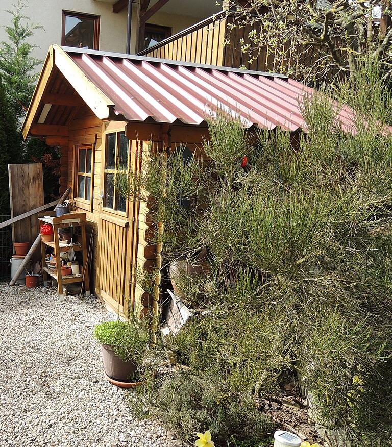 Im und am Gartenhaus finden sich die Gerätschaften für die Gartenarbeiten Im und am Gartenhaus finden sich die Gerätschaften für die Gartenarbeiten