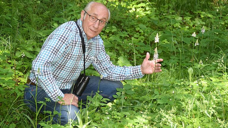 Walter Gebert freut sich über die Pracht der Fuchs' Fingerwurz. Sie wächst wie alle Orchideen nur unter bestimmten Bedingungen.