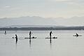 Badewetter im Oktober       -  Wassersport mit Stand-Up-Paddle-Boards wie hier am Starnberger See liegt weiter im Trend. (Archivbild)