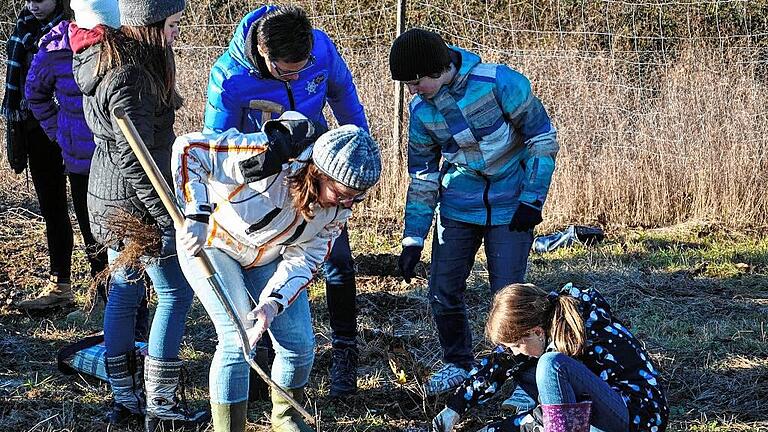 700 Baumsetzlinge pflanzten rund 70 Schüler, Lehrer und Eltern des Matthias-Grünewald-Gymnasiums. Mit dieser Aktion unterstützen die Teilnehmer das Kinder-Netzwerk &bdquo;Plant for the Planet&ldquo;.