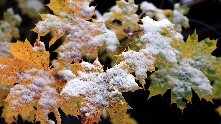 Schnee im Voralpenland       -  Der Deutsche Wetterdienst erwartet für die kommenden Tage Schnee in Bayern bis in tiefere Lagen um 300 Meter. (Archivbild)