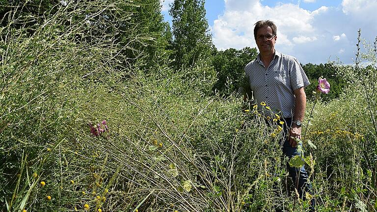 BBV-Kreisobmann Mathias Klöffel inmitten einer Blühfläche für Insekten.