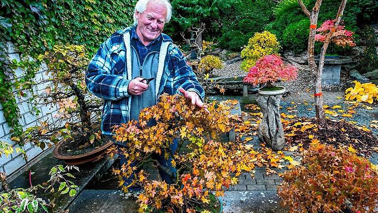 Mit Bonsai-Schere trimmt Kohlhepp auch im Herbst noch manchen Baum, wenn er es braucht. Mit Bonsai-Schere trimmt Kohlhepp auch im Herbst noch manchen Baum, wenn er es braucht.