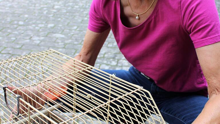 Das Gesicht von Tierheimleiterin Angela Drabant spricht Bände: &quot;Die Vögel wurden offenbar in alten, sehr kleinen Käfigen gehalten, die lange Zeit niemand gesäubert hat.&quot;