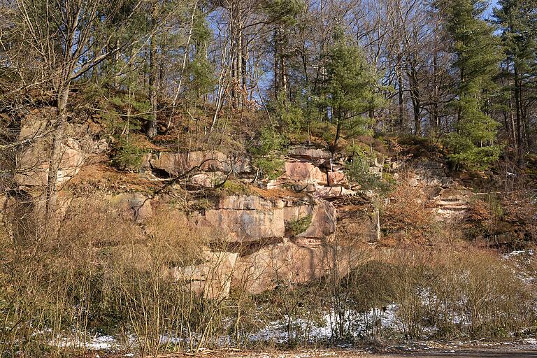 Blick auf den stillgelegten Steinbruch am Pollasch. Mit seinen steilen Abbruchkanten, sonnigen Felswänden und Nischen bietet er zahlreiche Tieren und Pflanzen Lebensraum. Blick auf den stillgelegten Steinbruch am Pollasch. Mit seinen steilen Abbruchkanten, sonnigen Felswänden und Nischen bietet er zahlreiche Tieren und Pflanzen Lebensraum.