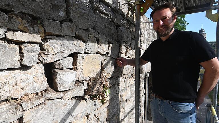 Efeuwurzeln haben Steine aus der Stadtmauer gedrückt und sich in den Lücken breitgemacht. Ein Teil der Mauerkrone muss deshalb abgetragen und mit den alten Steinen neu aufgebaut werden, erläutert Steinmetzmeister Daniel Brauch. Efeuwurzeln haben Steine aus der Stadtmauer gedrückt und sich in den Lücken breitgemacht. Ein Teil der Mauerkrone muss deshalb abgetragen und mit den alten Steinen neu aufgebaut werden, erläutert Steinmetzmeister Daniel Brauch.
