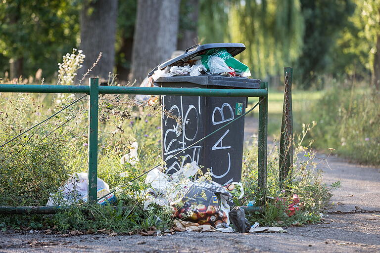 Einwegverpackungen sorgen in Würzburg für überfüllte Mülltonnen und Abfall in der Natur. So wie hier am Graf-Luckner-Weiher im Stadtteil Sanderau. Einwegverpackungen sorgen in Würzburg für überfüllte Mülltonnen und Abfall in der Natur. So wie hier am Graf-Luckner-Weiher im Stadtteil Sanderau.