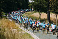 BR-Radltour 2024       -  Die knapp 1000 Radlerinnen und Radler unterwegs auf der BR-Radltour 2024.