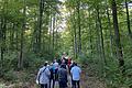 Exkursion durch den Lohrer Stadtwald: Eine rund 30-köpfige Delegation der Freien Wähler Main-Spessart ließ sich vor dem Hintergrund der Diskussion um ein mögliches Biosphärenreservat im Spessart von Betriebsleiter Michael Neuner zum Thema Waldwirtschaft und Naturschutz informieren.