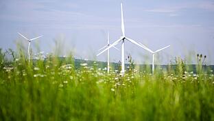 Mit einer neuen GmbH soll im Landkreis Bad Kissingen künftig gemeinschaftlich auf grüne Energie gesetzt werden.