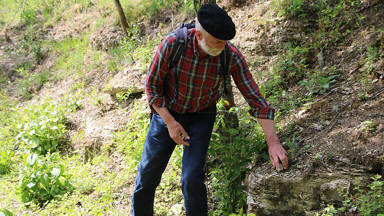 Herbert Kirsch vom Landschaftspflegeverband Main-Spessart zeigte im vergangenen Juni den in Schichten zerbröselnden Kalkstein bei einer Führung durch das Magerrasengebiet 'Poppenhausener Grund' bei Binsfeld.