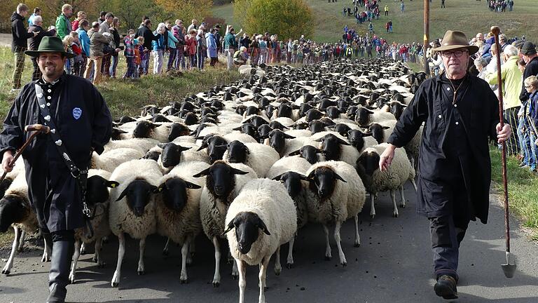 Am Sonntag, 22. Oktober, findet in Ginolfs in der Rhön wieder der Weideabtrieb mit tausenden von Tieren statt. Am Sonntag, 22. Oktober, findet in Ginolfs in der Rhön wieder der Weideabtrieb mit tausenden von Tieren statt. 