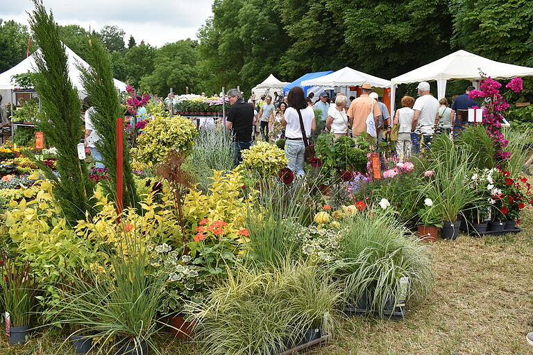 Viele Besucher kamen nach Traustadt, um sich Anregungen für ihren Garten zu holen. Viele Besucher kamen nach Traustadt, um sich Anregungen für ihren Garten zu holen.