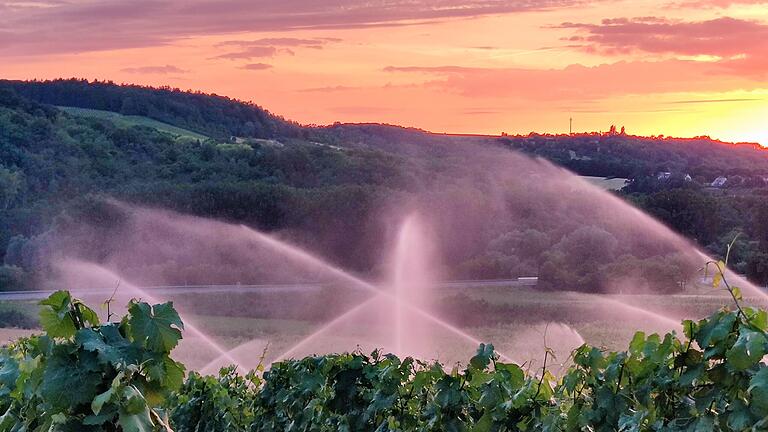 Liegt darin die Lösung? Großflächige Bewässerung der Weinberge in Sommerhausen (Lkr. Sommerhausen), aufgenommen Ende Juni. Liegt darin die Lösung? Großflächige Bewässerung der Weinberge in Sommerhausen (Lkr. Sommerhausen), aufgenommen Ende Juni.