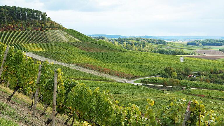 Ausblick über die Bullenheimer Weinberge. Ausblick über die Bullenheimer Weinberge.