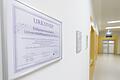 Als zertifiziertes Endometriosezentrum verfügt die Würzburger Universitäts-Frauenklinik über umfassende Kompetenzen bei der Diagnostik, Behandlung und Erforschung der komplexen Erkrankung.