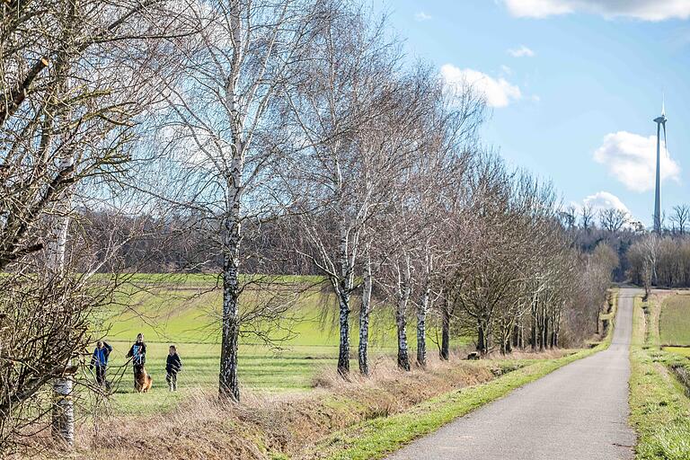 Zehn Kilometer lang ist die Wandertour auf Spuren der Zisterzienser - hier dem Weg aus Birkenfeld heraus. Zehn Kilometer lang ist die Wandertour auf Spuren der Zisterzienser - hier dem Weg aus Birkenfeld heraus.