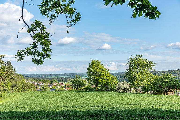 Wandernd unterwegs auf der 8,1 Kilometer langen Traumrunde Geiselwind im Landkreis Kitzingen. Hier wenige Meter vor dem Aussichtspunkt Glösberg. Wandernd unterwegs auf der 8,1 Kilometer langen Traumrunde Geiselwind im Landkreis Kitzingen. Hier wenige Meter vor dem Aussichtspunkt Glösberg.