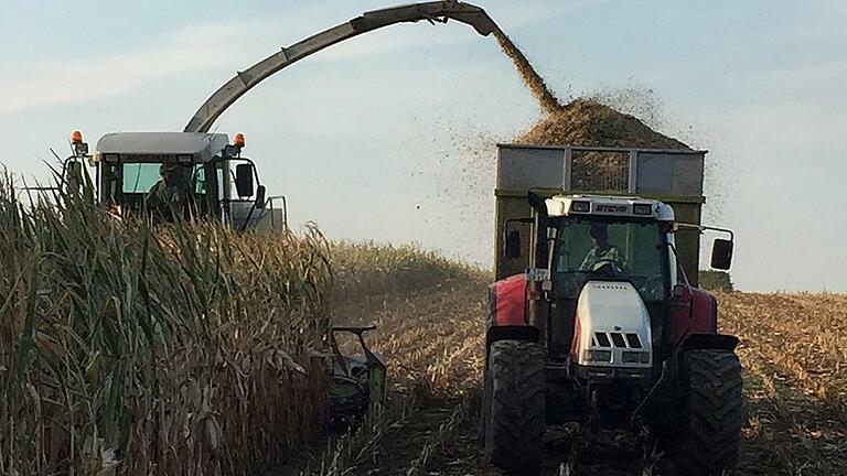 Auf dem Maisacker von Dominik Keller lief die Ernte am Freitagmorgen dann reibungslos ab, nachdem bei dere Nachschau keine weiteren Schrauben auf dem Feld gefunden worden waren. Auf dem Maisacker von Dominik Keller lief die Ernte am Freitagmorgen dann reibungslos ab, nachdem bei dere Nachschau keine weiteren Schrauben auf dem Feld gefunden worden waren.