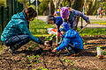 Kinder und eine Erwachsene bei der Gartenarbeit       -  Eine Erzieherin kann in der Regel gut mit Kindern umgehen. Foto: Jens Büttner