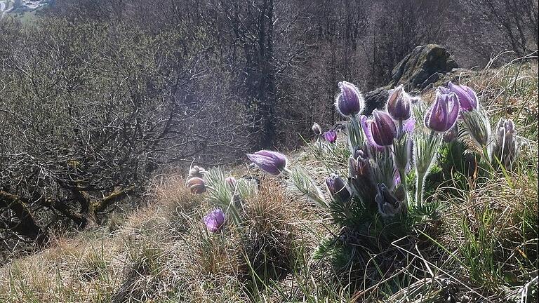 Die Rhön: Naturfotografien von Matthias Poppe.