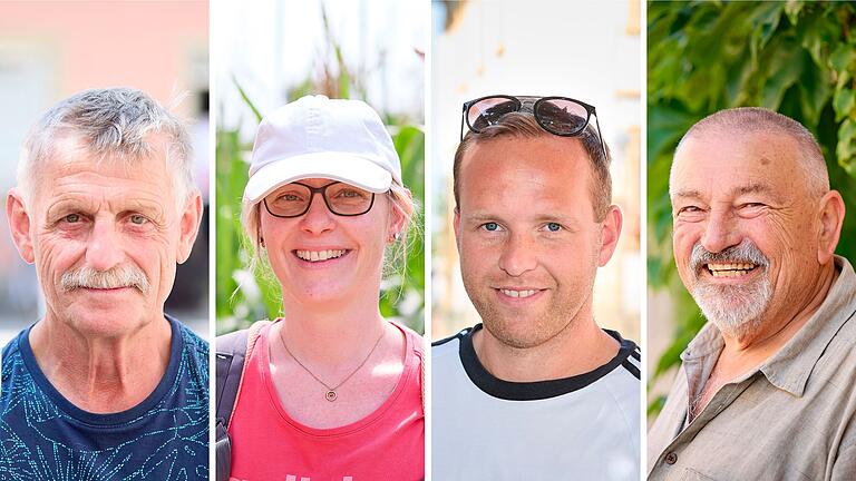 Wie lebt es sich auf dem Land? Diese Frage beantworten Klaus&nbsp; Endres aus Gelchsheim, Tanja Geißler aus Fuchsstadt, Sven Gibfried aus Röttingen und Erich Beck aus Winterhausen .