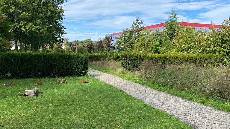 Große Teile des früheren Diakonissenfriedhofs auf dem Friedhof am Äußeren Ring in Marktheidenfeld werden nicht mehr genutzt und verwildern. Dort wird nun eine Umgestaltung geplant. Große Teile des früheren Diakonissenfriedhofs auf dem Friedhof am Äußeren Ring in Marktheidenfeld werden nicht mehr genutzt und verwildern. Dort wird nun eine Umgestaltung geplant.
