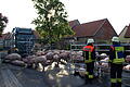 Unfall in Nenzenheimer Ortsdurchfahrt: Tiertransporter mit 90 Schweinen landet auf Gartentor
