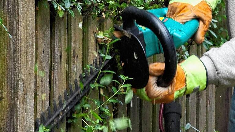 Hobbygärtner ohne tränende Augen - Gartenarbeit trotz Allergie - (huGO-ID: 28165872) Manche Heckenpflanzen wie Liguster haben ein hohes Allergiepotenzial. (Archivbild vom 10.06.2011 - Die Veröffentlichung ist für dpa-Themendienst-Bezieher honorarfrei. FOTO Kai Remmers, dpa Hobbygärtner ohne tränende Augen - Gartenarbeit trotz Allergie - (huGO-ID: 28165872) Manche Heckenpflanzen wie Liguster haben ein hohes Allergiepotenzial. (Archivbild vom 10.06.2011 - Die Veröffentlichung ist für dpa-Themendienst-Bezieher honorarfrei. FOTO Kai Remmers, dpa