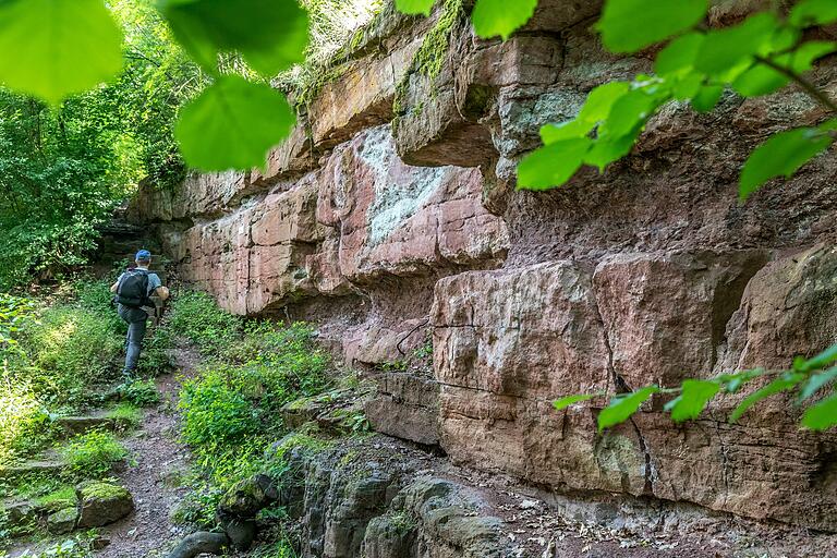 Der Wanderweg vom ehemaligen Bahnhof Gambach zum Edelweiß am Grainberg gehört zu den historischen Pilgerzielen deutscher Geologen und ist gewissermaßen ein erdgeschichtliches Welterbe. Der Wanderweg vom ehemaligen Bahnhof Gambach zum Edelweiß am Grainberg gehört zu den historischen Pilgerzielen deutscher Geologen und ist gewissermaßen ein erdgeschichtliches Welterbe.