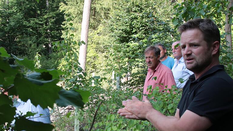 Förster Matthias Wallrapp, Leiter der Forstbetriebe von Juliusspital und Stadt, setzt schon lange auf klimaverträgliche Baumarten wie die Baumhasel.       -  Förster Matthias Wallrapp, Leiter der Forstbetriebe von Juliusspital und Stadt, setzt schon lange auf klimaverträgliche Baumarten wie die Baumhasel.