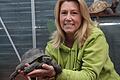 Sandra Malguth leitet die Auffangstation für Landschildkröten in Hoheim. In der Hand hält sie 'Batzi', eine Maurische Landschildkröte. Die Schildkröte im Regal im Hintergrund ist übrigens eine künstliches Exemplar.