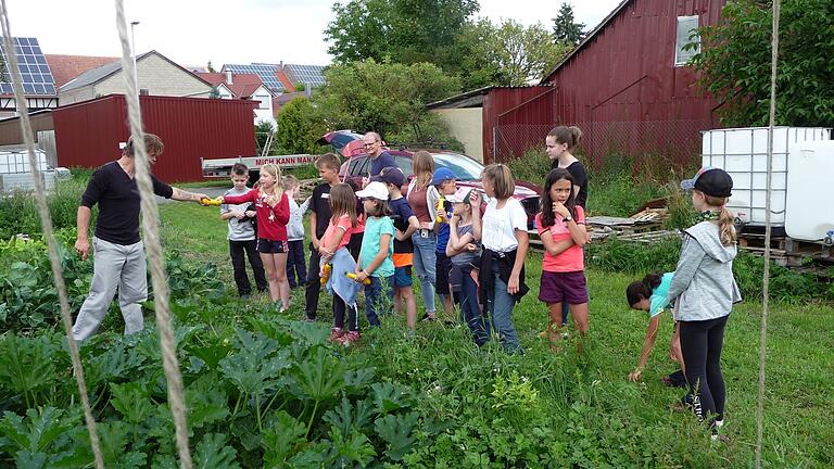 Die Marktheidenfelder Ferienspaßkinder zu Besuch auf den biologischen Anbauflächen von Thomas Garos (NaturPur) in Karbach. Die Marktheidenfelder Ferienspaßkinder zu Besuch auf den biologischen Anbauflächen von Thomas Garos (NaturPur) in Karbach.