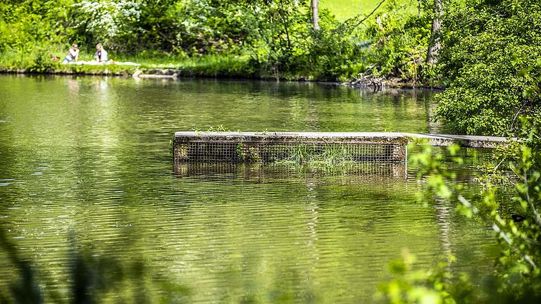 Der Seidenhäuser See bei Altershausen ist einer der unbekannteren Badeseen im Landkreis Haßberge. Dabei hat er einiges zu bieten – nicht nur für Schwimmer. Der Seidenhäuser See bei Altershausen ist einer der unbekannteren Badeseen im Landkreis Haßberge. Dabei hat er einiges zu bieten – nicht nur für Schwimmer.